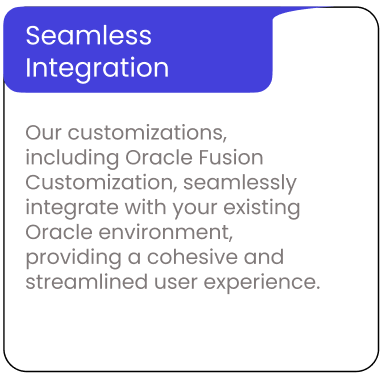 Oracle Fusion customization application