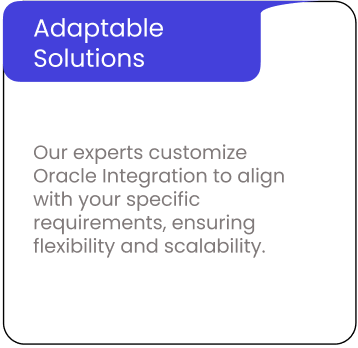 Oracle ERP Cloud Integration Services