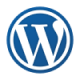 Custom WordPress Website Development