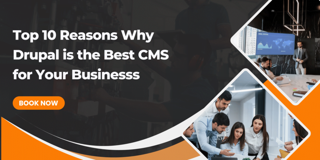 Top 10 Reasons Why Drupal is the Best CMS for Your Business