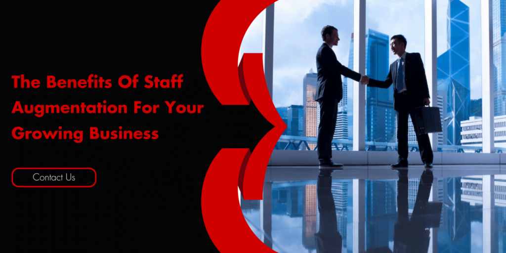 The Benefits of Staff Augmentation for Your Growing Business